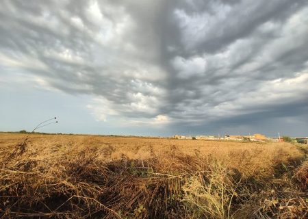 پیام وارده: خسارت‌های سنگین بارندگی اخیر به مزارع خوزستان