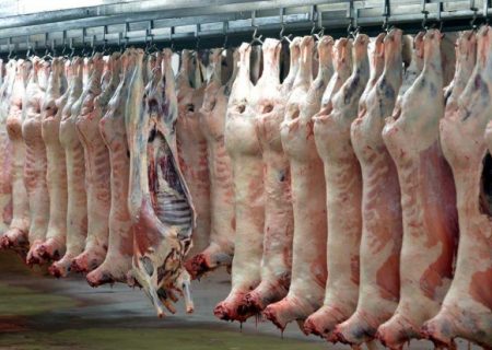 قیمت واقعی گوشت گوسفندی اعلام شد